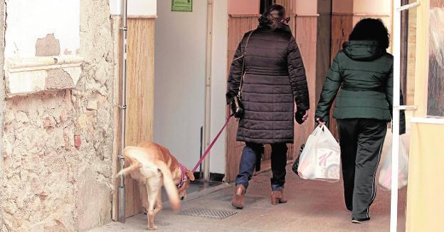 el perro no puede orinar